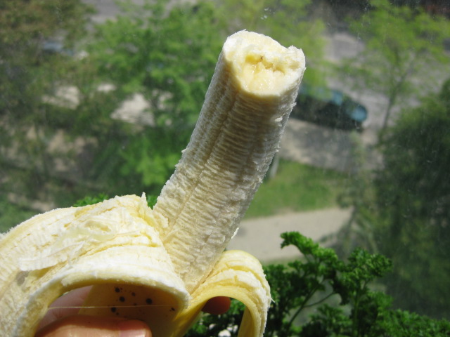 2009_06_06_banana