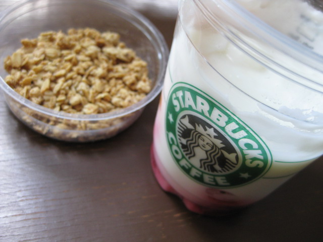 2009_08_01_yogurt